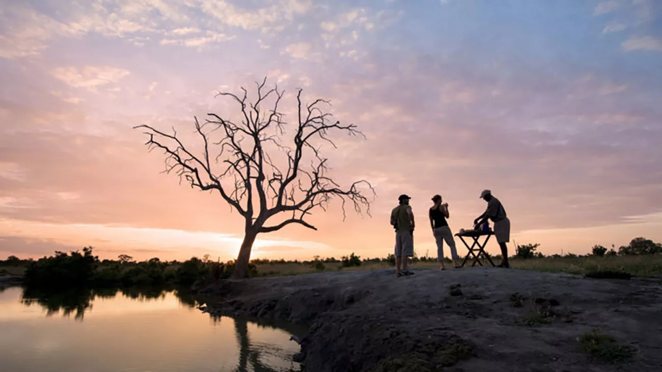 Table Mountain, Vida Selvagem e Victoria Falls